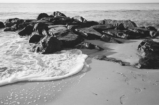 Still Here Black & White | Cape May
